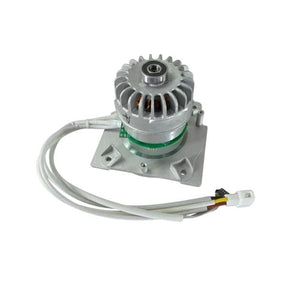 Greenworks Lawn Mower Motor R0200868-00