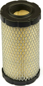 Briggs Air Filter 793569