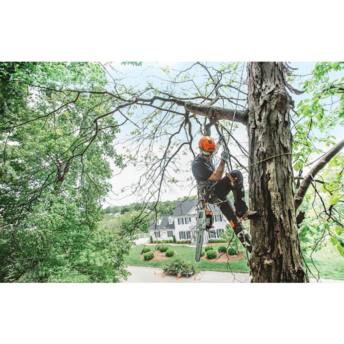 Ms201t Stihl® MS 201 T C-M Chainsaw, 16